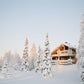 Winter Forest Houses Photography Backdrop Snow Background