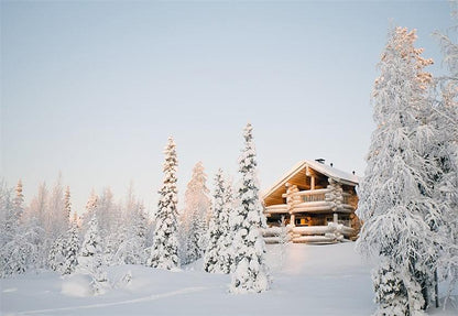 Winter Forest Houses Photography Backdrop Snow Background