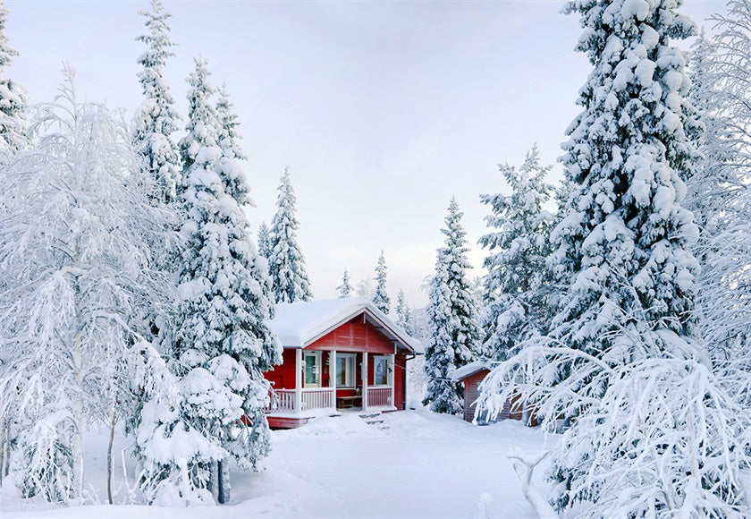 Snow Forest Red Houses Photography Backdrop Winter Background