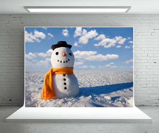 Snowman Photography Backdrop Winter Background