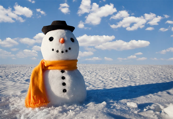 Buy Snowman Photography Backdrop Winter Background Online – Starbackdrop