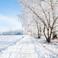 White Snow  Tree Photography Backdrop Winter Background