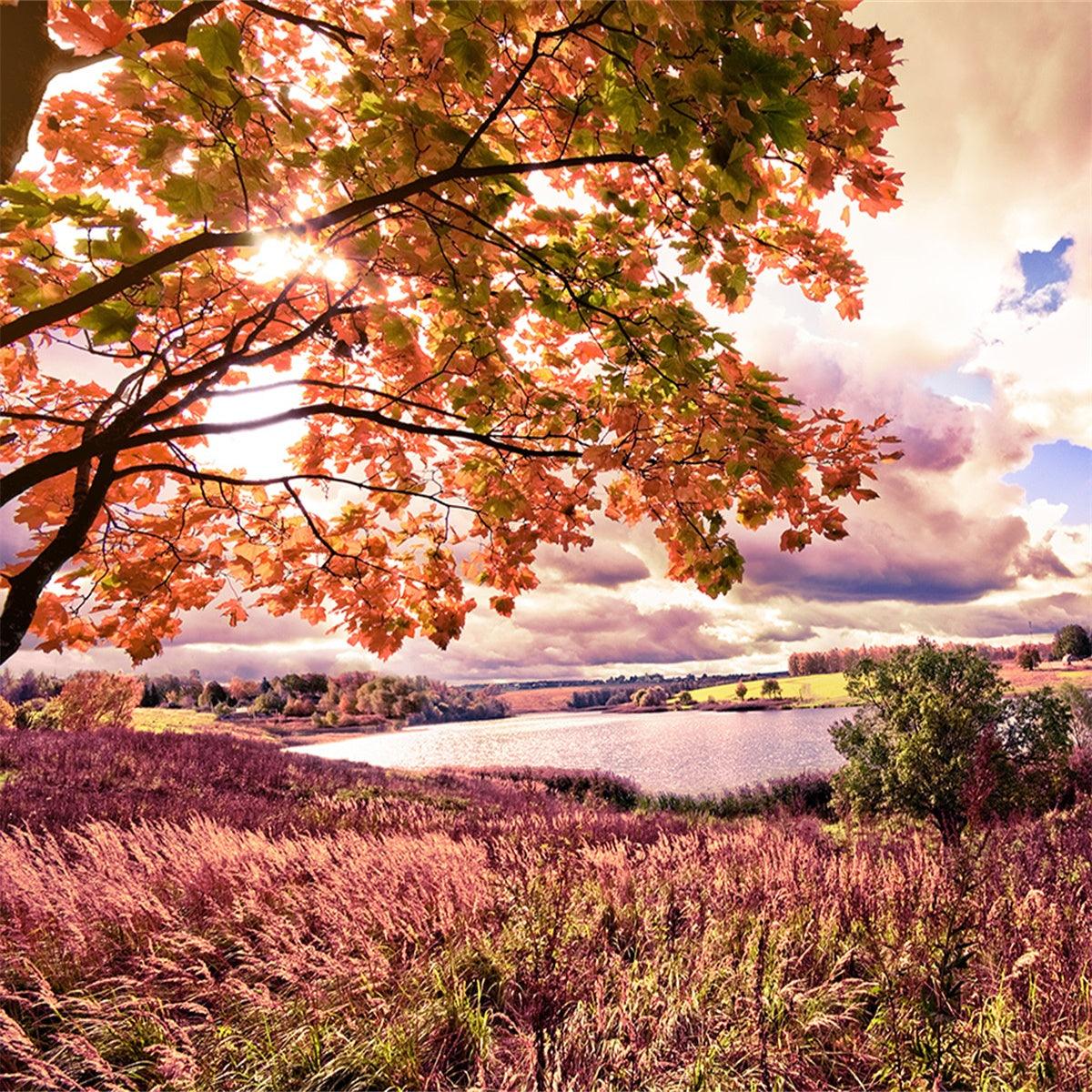 Autumn Forest Pink Leaves Backdrop