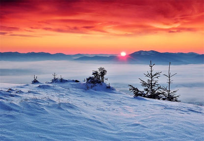 White Snow Photo Backdrop Winter Background