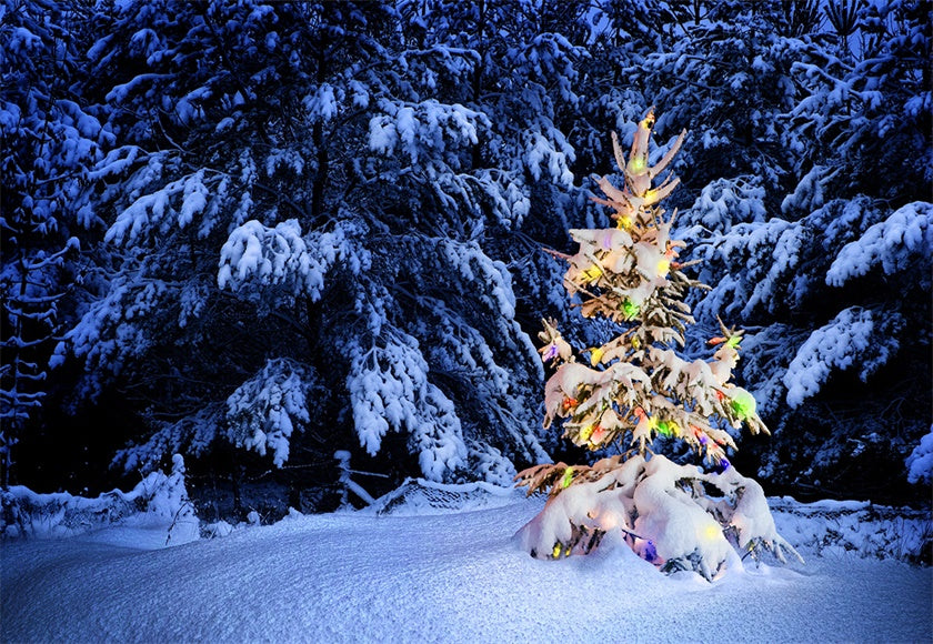 Light Christmas Tree Photography Backdrop Winter Background