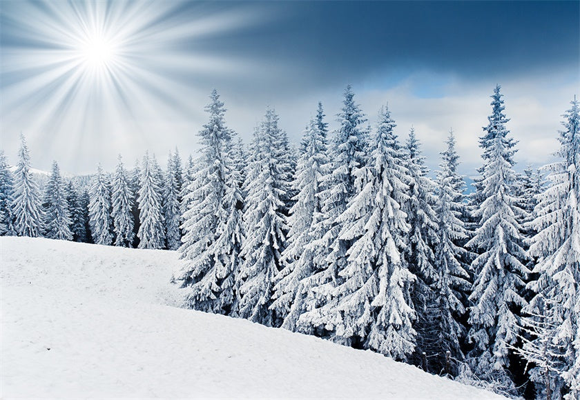 Sunlight Snow Forest Photography Backdrop Winter Background