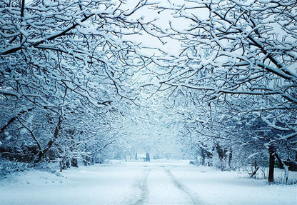 Snow Cover Tree Backdrop for Photography Winter Photo Background