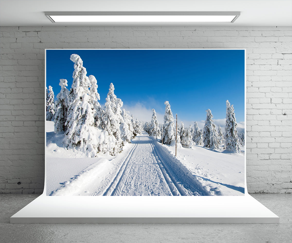 White Snow Cover Road Photo Backdrop Winter Background