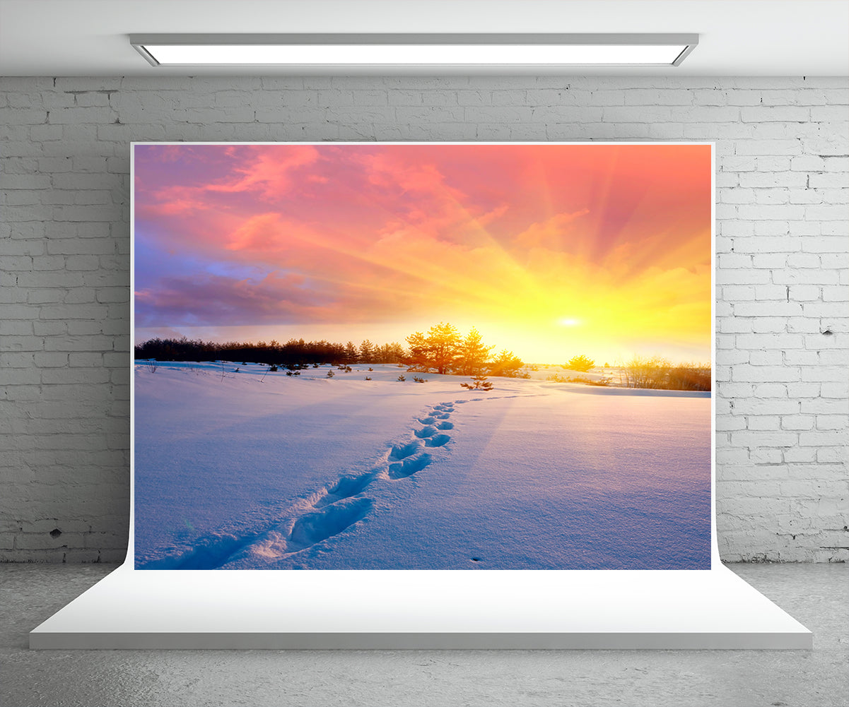 Sunset Light Snow Photography Backdrop Winter Background