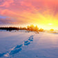 Sunset Light Snow Photography Backdrop Winter Background
