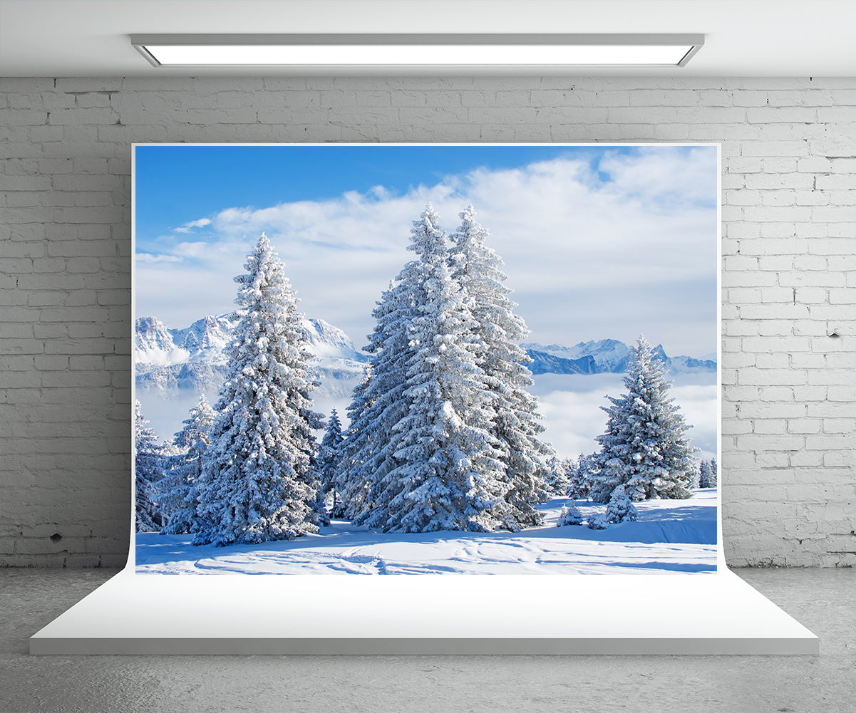White Snow Pine Tree Photography Backdrop Winter Background