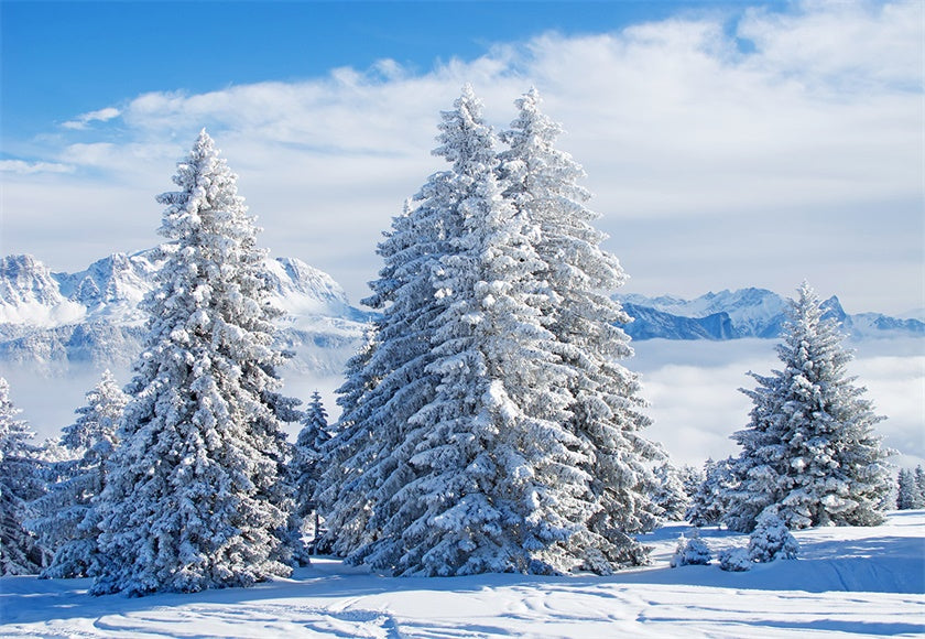 White Snow Pine Tree Photography Backdrop Winter Background