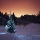 Night Snow Tree Photography Backdrop for Winter