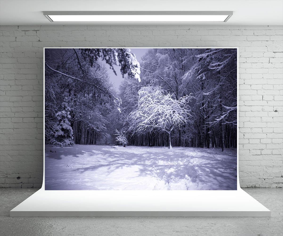 Night Snow Forest Photography Backdrop Winter Photo Background