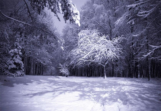 Night Snow Forest Photography Backdrop Winter Photo Background