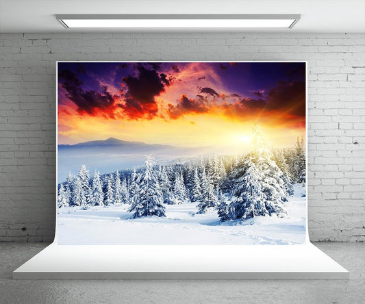 Sunset Snow Forest Photography Backdrop Winter Background