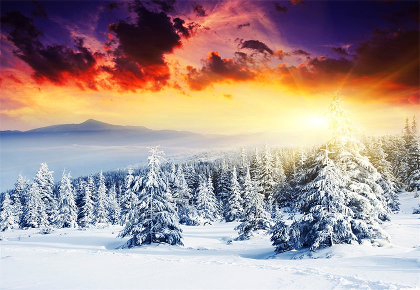 Sunset Snow Forest Photography Backdrop Winter Background