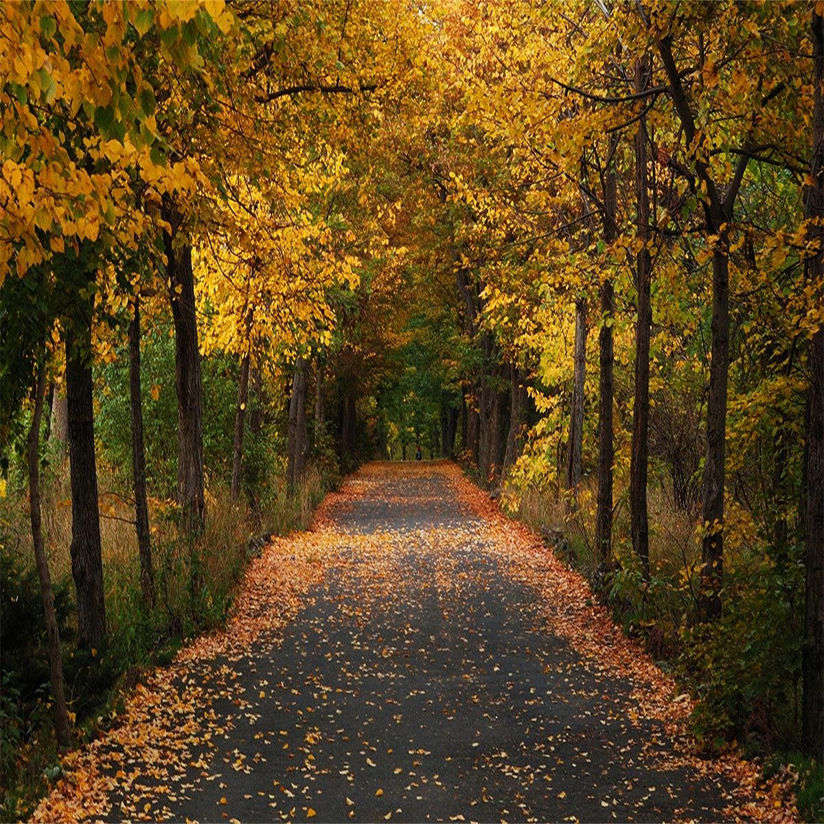 Autumn Forest Covered With Fallen Leaves Rode Backdrops