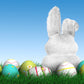 Easter Spring Grass Eggs Rabbit Backdrop