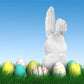 Easter Spring Grass Eggs Rabbit Backdrop