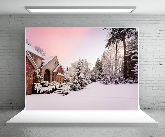 White Snow Houses Photography Backdrop Winter Background