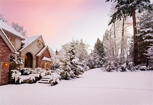 White Snow Houses Photography Backdrop Winter Background