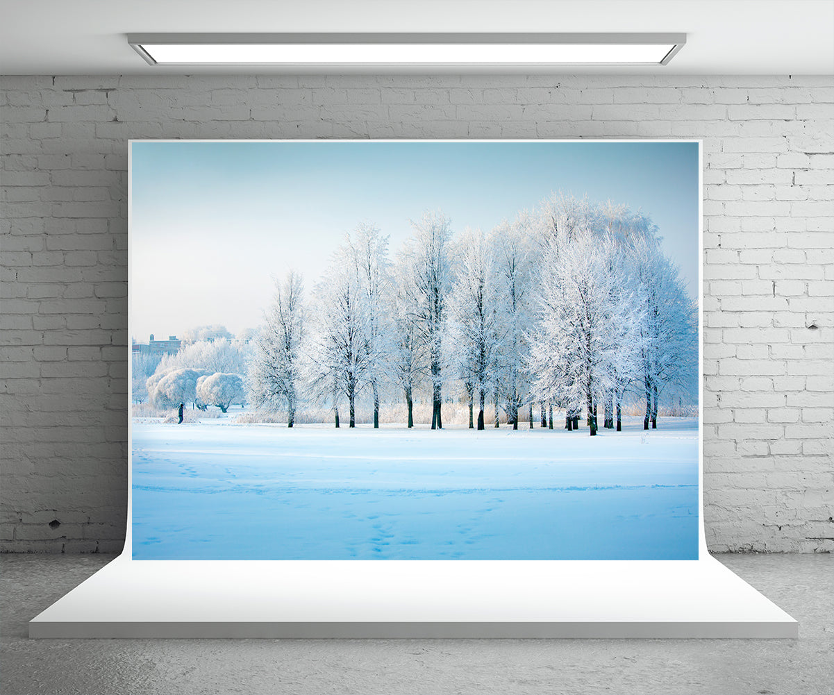 White Snow Tree Photography Backdrop for Christmas