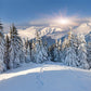 White Snow Forest Mountain Photography Backdrop for Winter