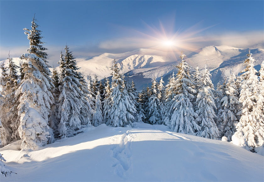 White Snow Forest Mountain Photography Backdrop for Winter