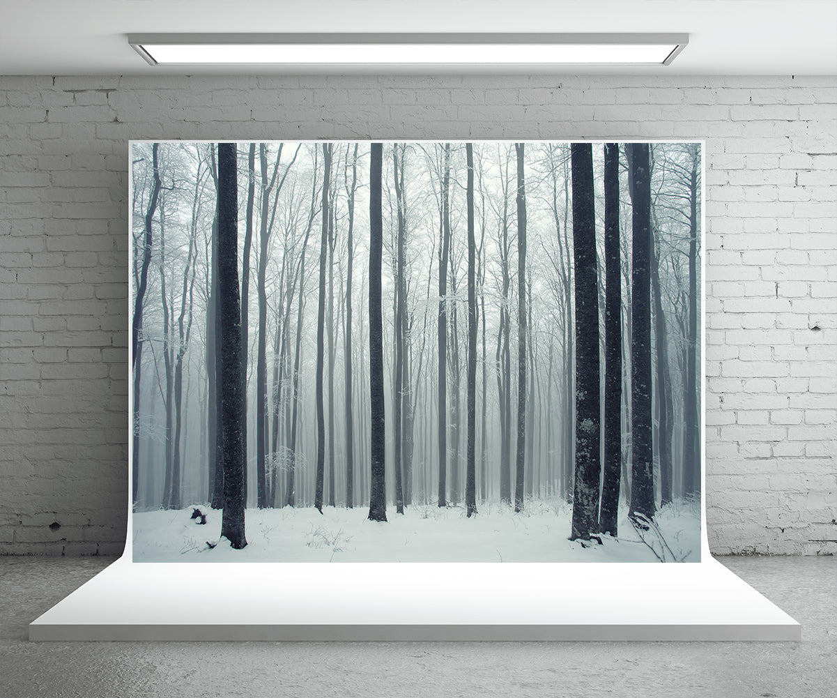 Snow Forest Photo Background Winter Backdrop
