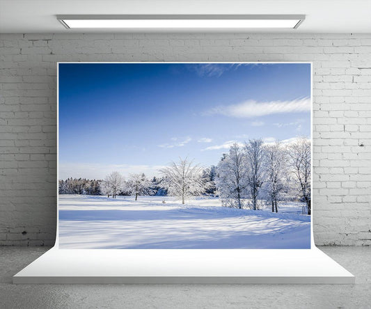 White Snow Photography Backdrop Winter Background