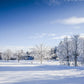 White Snow Photography Backdrop Winter Background