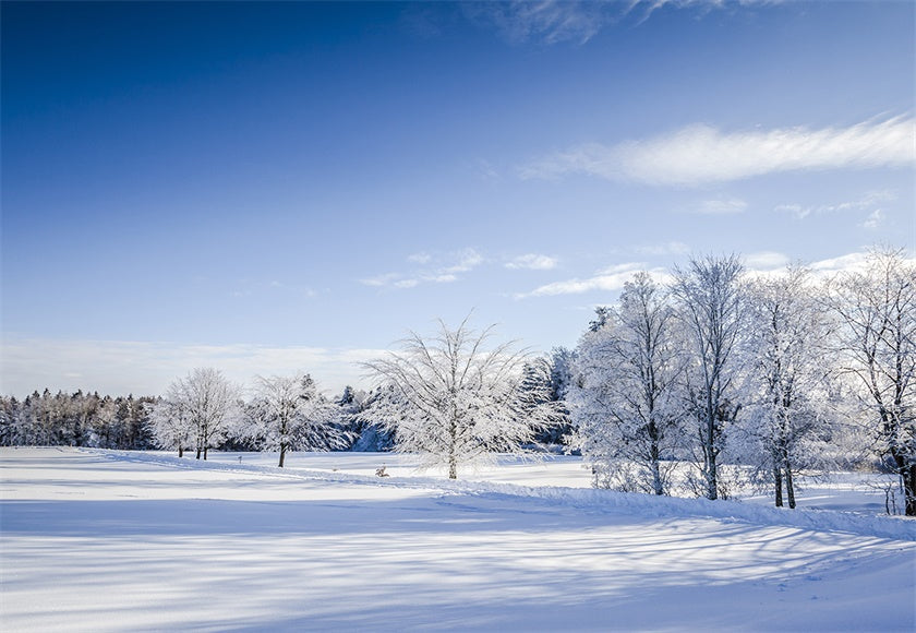 White Snow Photography Backdrop Winter Background