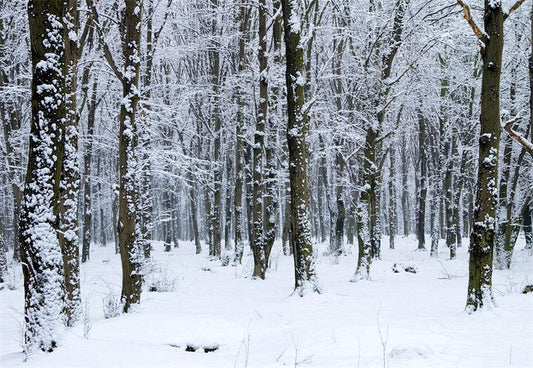 White Snow Cover Photography Backdrop for Winter