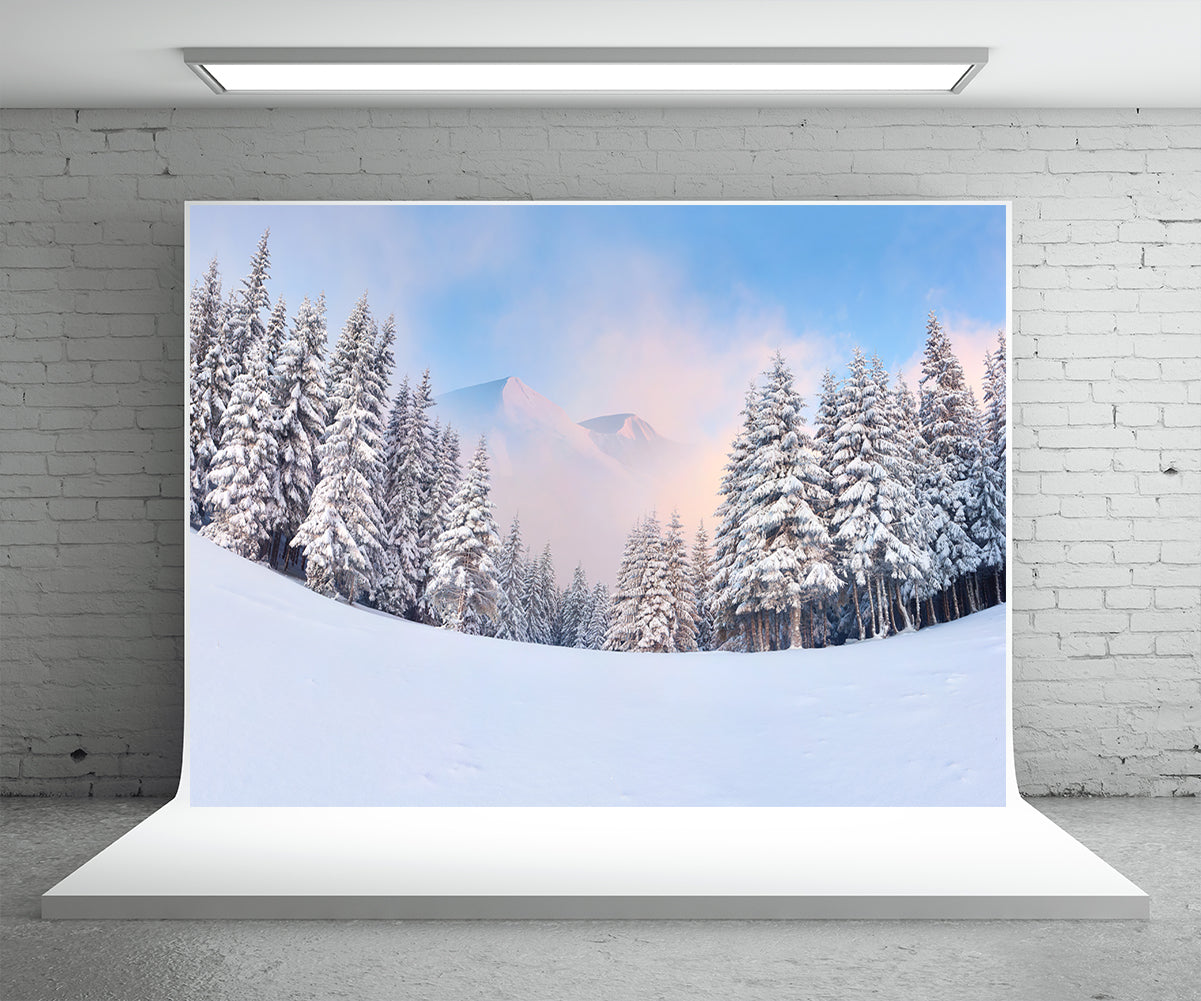 Fog Snow Cover Forest Photography Backdrop Winter Background