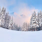 Fog Snow Cover Forest Photography Backdrop Winter Background