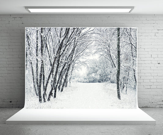 White Snow Cover Tree Road Photography Backdrop Winter Background