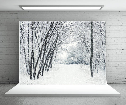 White Snow Cover Tree Road Photography Backdrop Winter Background