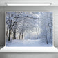 Snow Cover Branches Photography Backdrop Winter Background