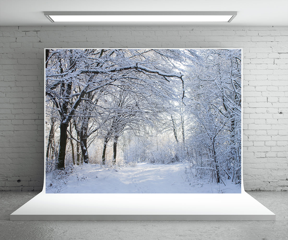 Snow Cover Branches Photography Backdrop Winter Background