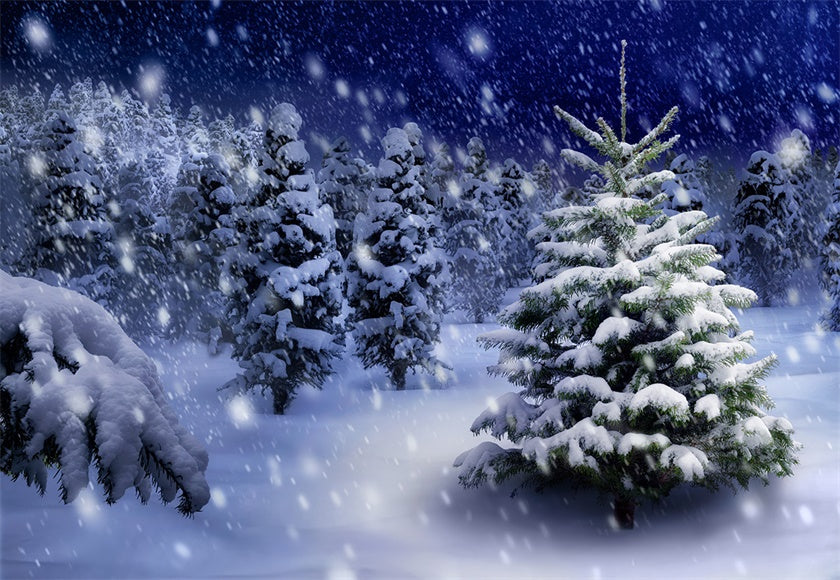 Night of Winter Snow Wonderland Backdrop for Christmas