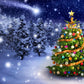 Winter Christmas Tree Snow Forest for Photo