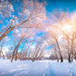 White Winter Snow Cover Photo Backdrop for Photographer