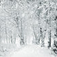 White Snowflake Forest Photography Backdrop Winter Background
