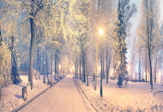 Night Light Snow Road Photography Backdrop Winter Background