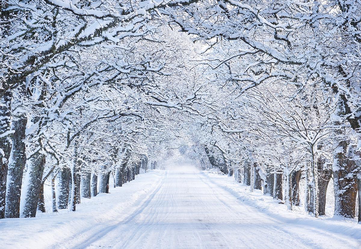 White Winter Snow Road Photography Backdrop