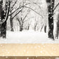 White Snowflake Wood floor Photography Backdrop Winter Background