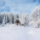 Winter White Snow Cover Forest Photography Backdrop