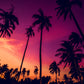 Hawaiian Sunset Palm Tree Photo Backdrop for Photo Studio KH06312