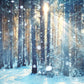 Winter Sunlight Forest Photography Backdrop Christmas Background